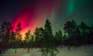 Northern Lights